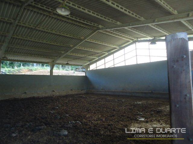 Chácara à venda com 2 dormitórios em Rio mandioca, São bento do sul cod:62CH - Foto 15