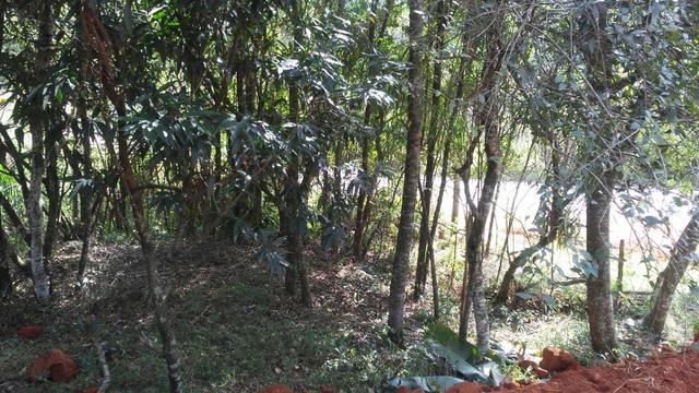 Salão Comercial com projeto aprovado em terreno de 922m² Próximo ao B. Maracanã em Jarinu - Foto 13