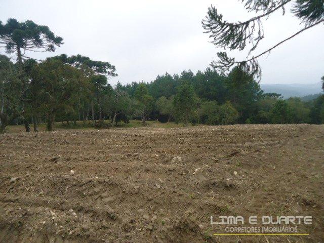 Chácara à venda em Bituvinha, Mafra cod:216CH - Foto 15