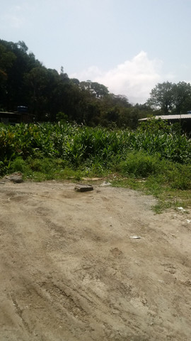 Saia do Aluguel!