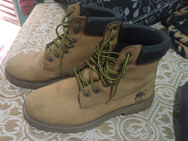 nova timberland