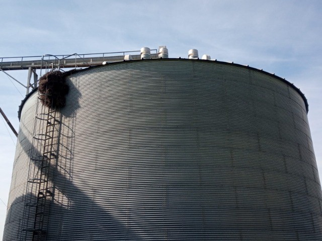 Silo 10 mil sacas