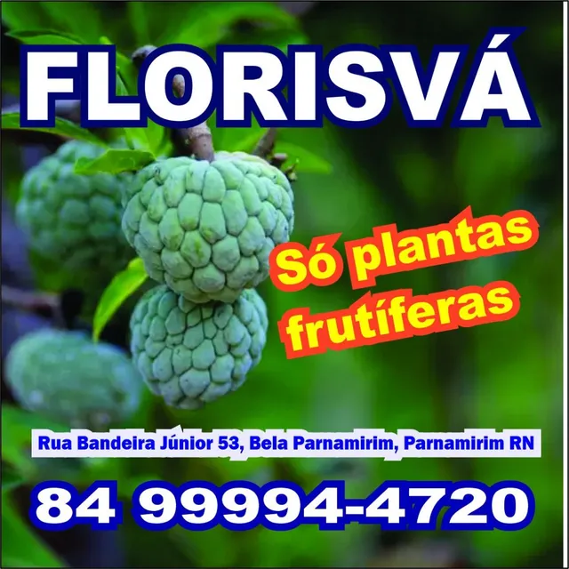 Temos mais de 150 Espécies de Mudas de Frutíferas