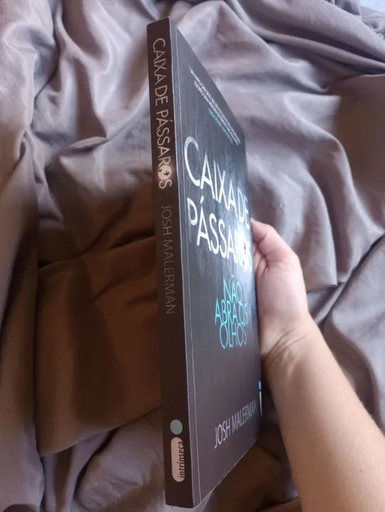 Caixa de Pássaros - Josh Malerman - Foto 4