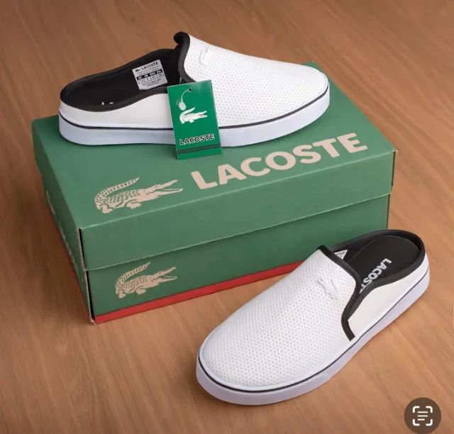 Sapatenis lacoste Adulto Calçados Curió, Fortaleza 1356265073