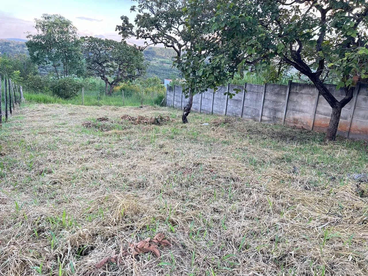 Lotes de 492 mts em mateus leme  - Foto 3