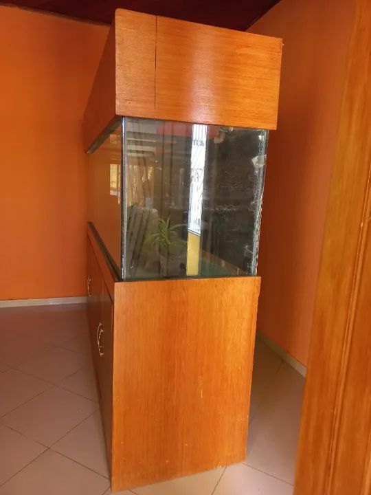 Aquário com móvel e decoração semi completo - Foto 2
