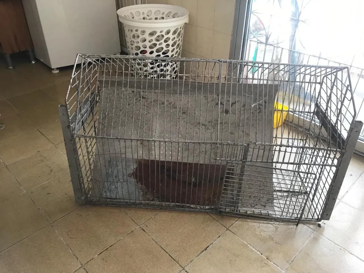 ? VENDO GAIOLA GRANDE E REFORÇADA ?