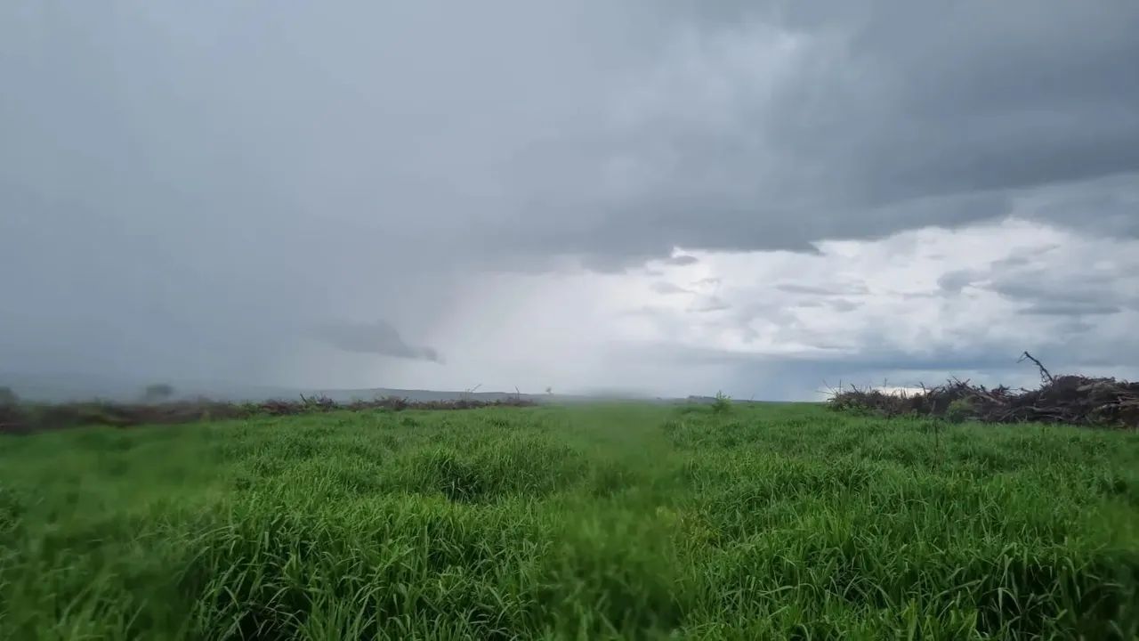 FAZENDA DUPLA APTIDÃO COM ÁREA TOTAL DE 700 HECTARES EM CAMAPUÃ - Foto 3