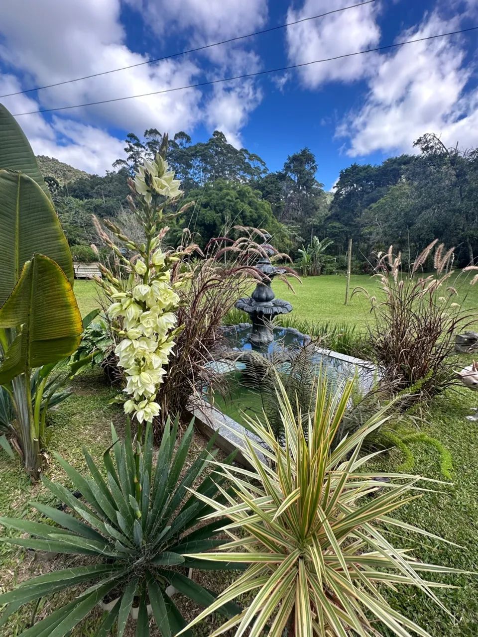 Vendo sítio em Lumiar,Nova Friburgo,Rj - Foto 4