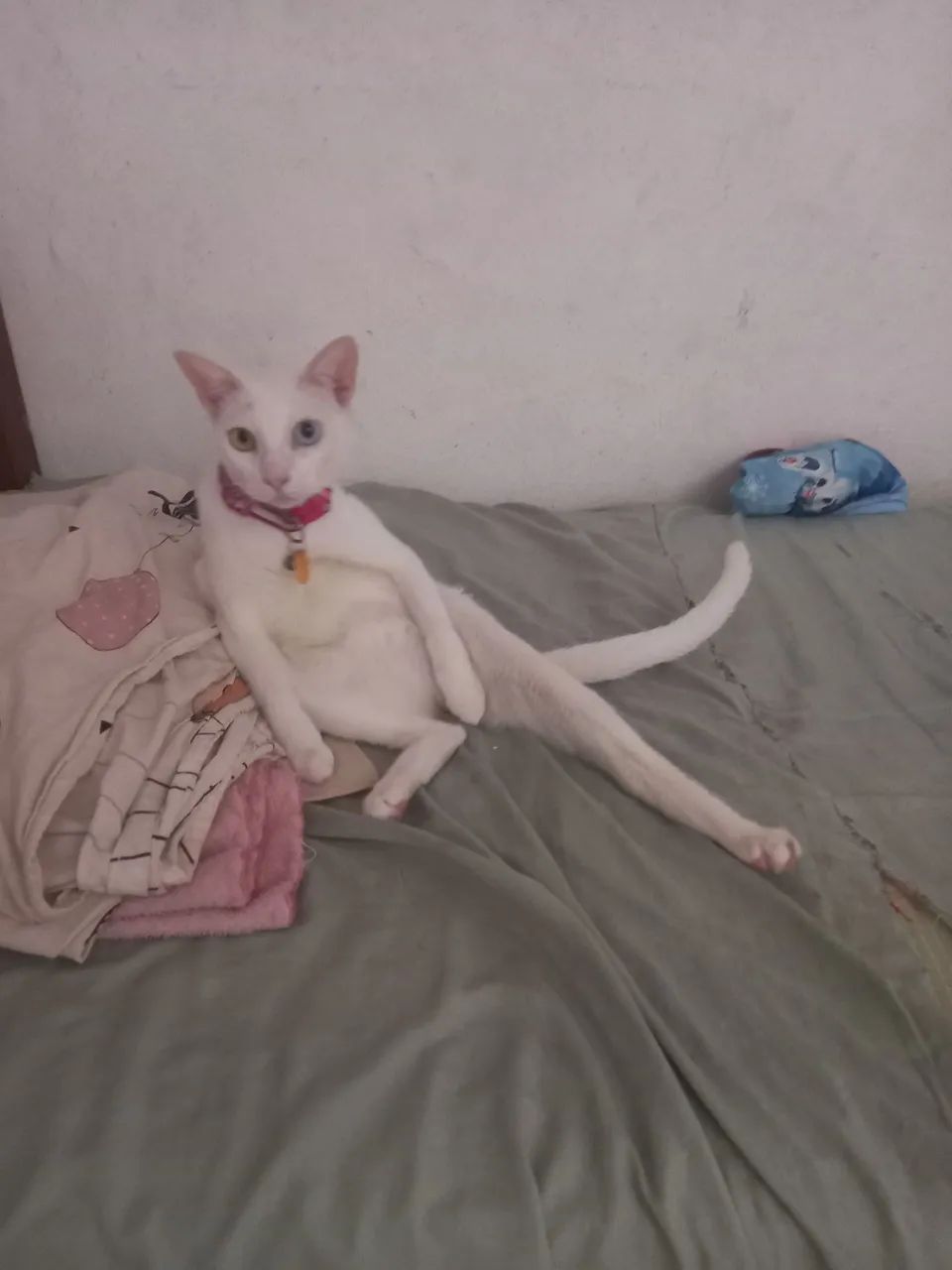 Doação  - Foto 2