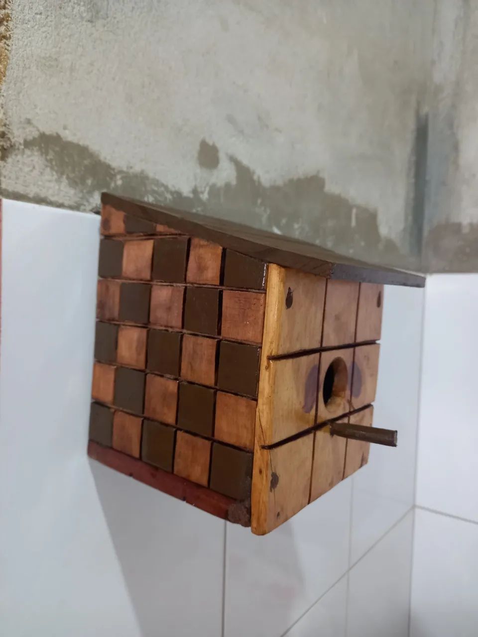 Passarinho - Foto 2