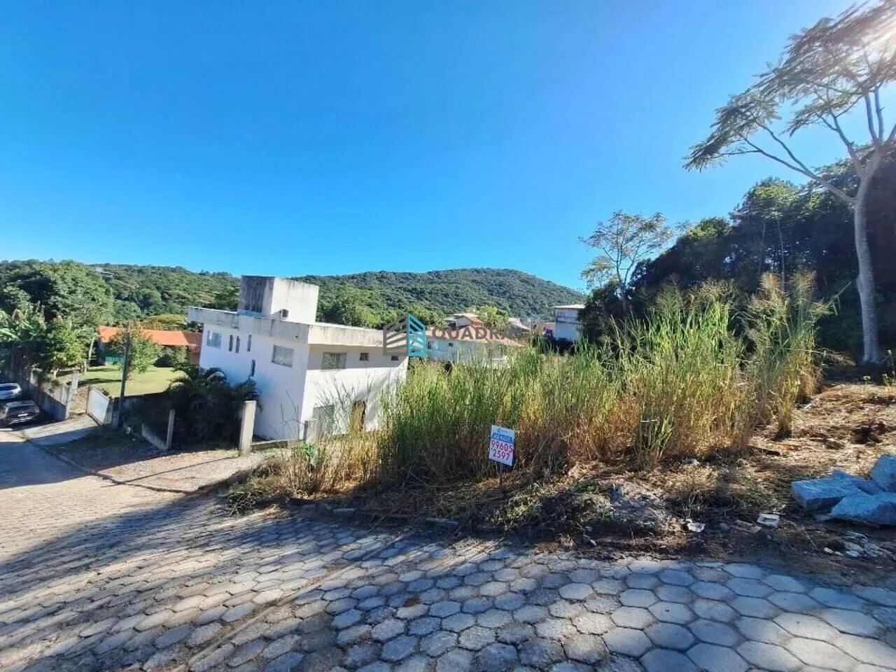 Foto - Florianópolis - Itacorubi