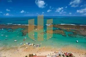 Terreno dos Sonhos à Beira-Mar em Sirinhaém, PE! - Foto 5