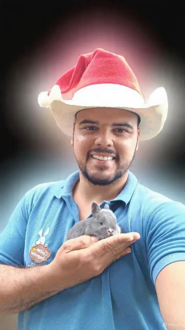 COELHO GIGANTE - ANÃO - MINI - (com nota fiscal) - Foto 2