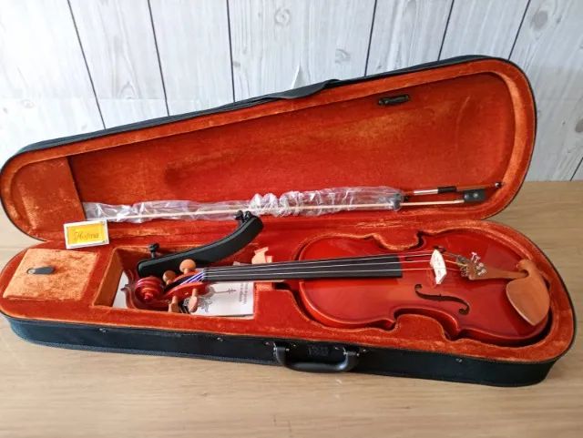 Violino Hofma 4/4 Completo e Ajustado e Cordas Mauro Calixto - HVE241