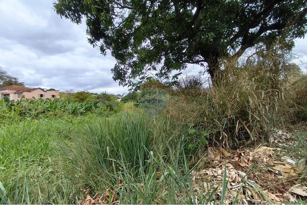 Terreno no Centro de Ribeirão Vermelho - Foto 5