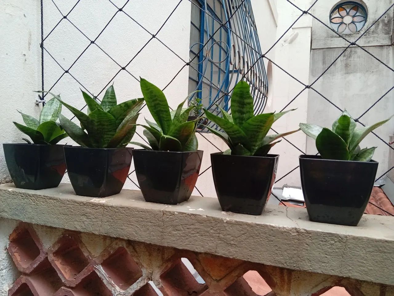 Mini espada de São jorge