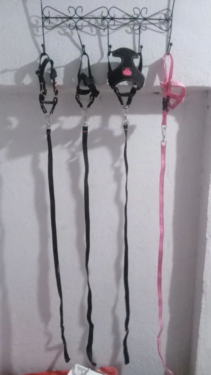 Produtos Pra Petz (Gato e Cachorro)  Coleiras E Roupa  - Foto 2