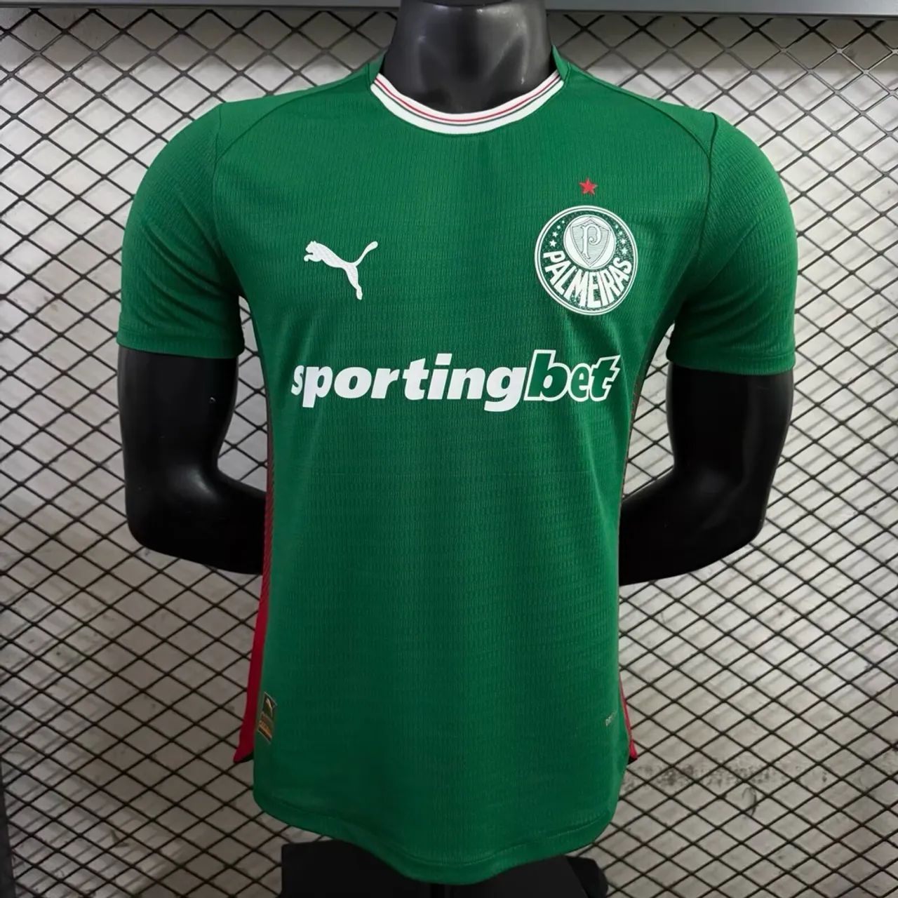 Camisa Palmeiras (nova)