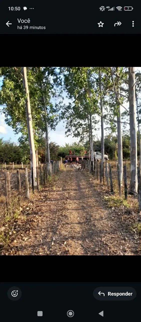 Foto - Itapecuru Mirim - 