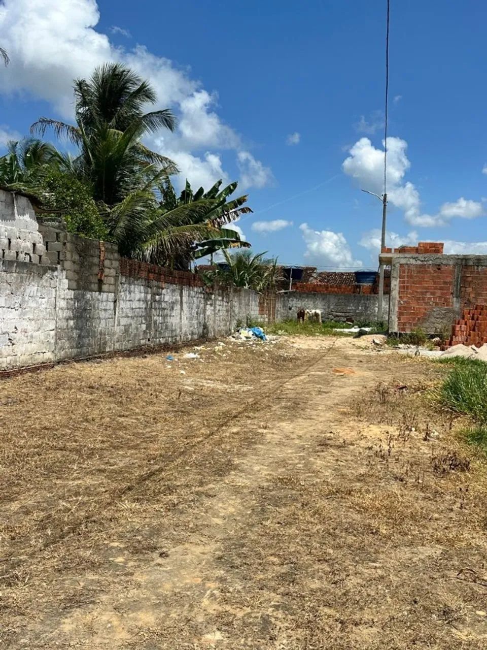 Lotes no Bairro São Caetanos - Foto 2