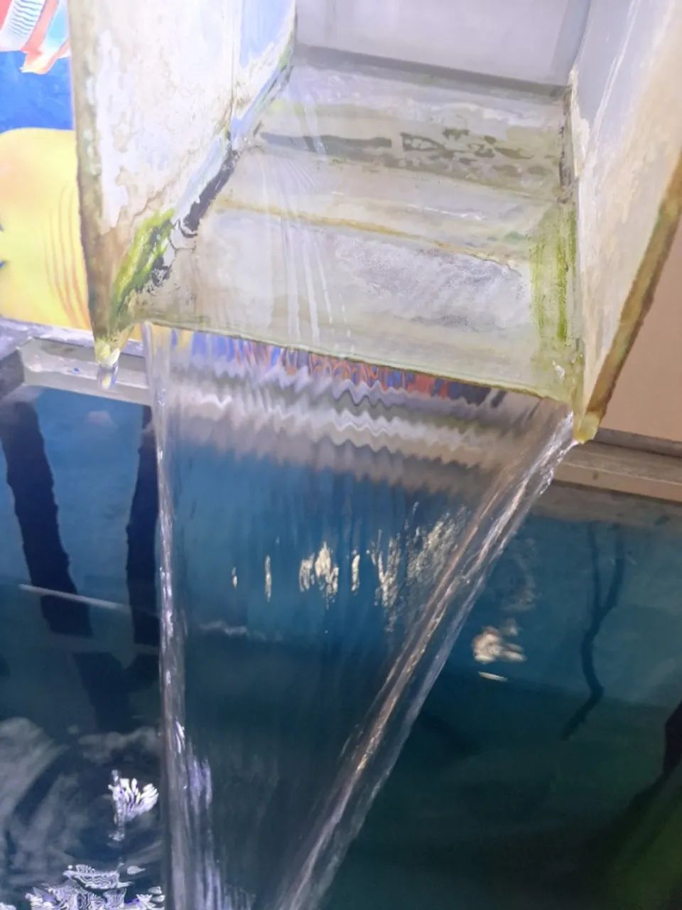 aquario - Foto 3