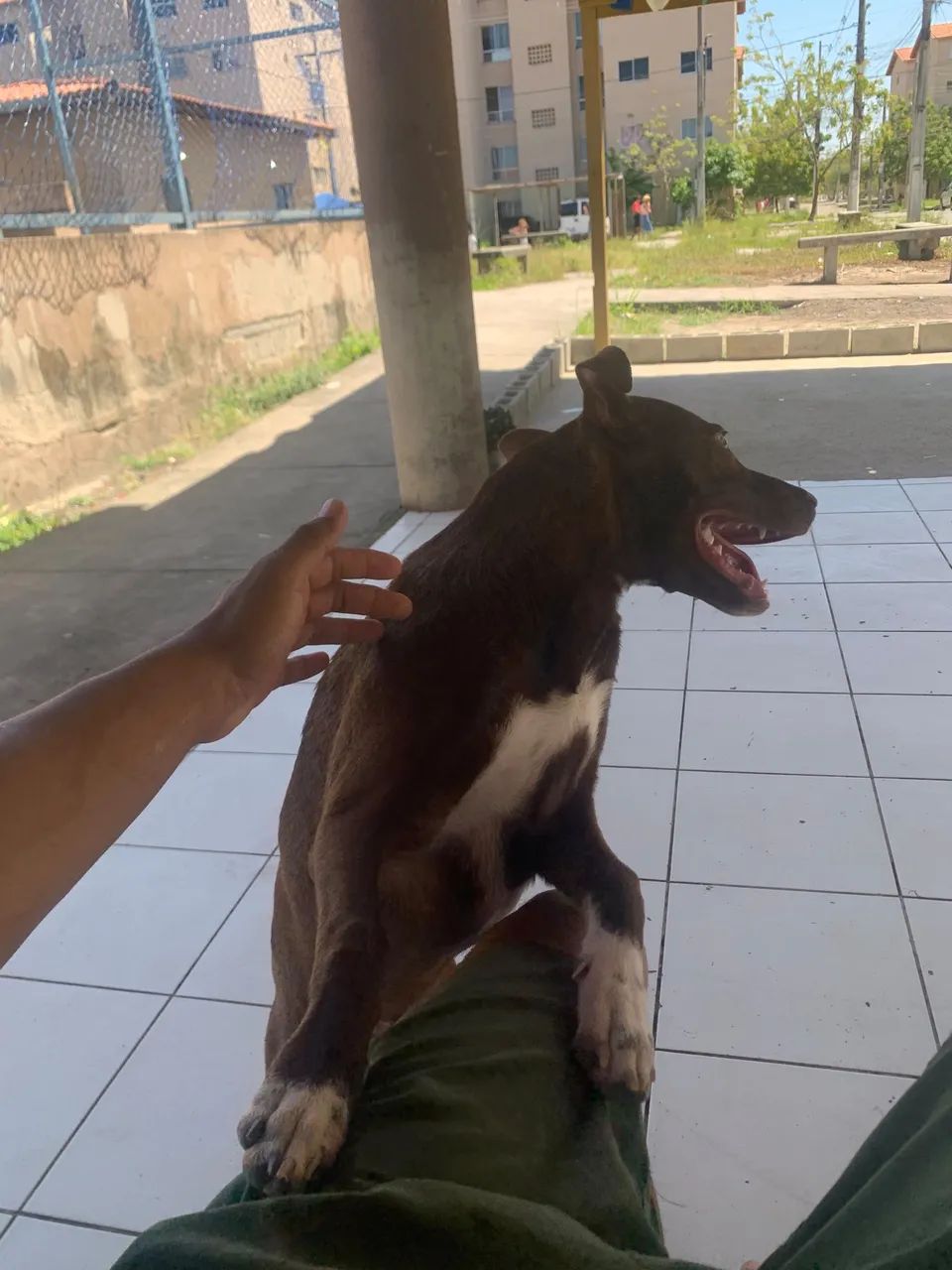 Doação  - Foto 5