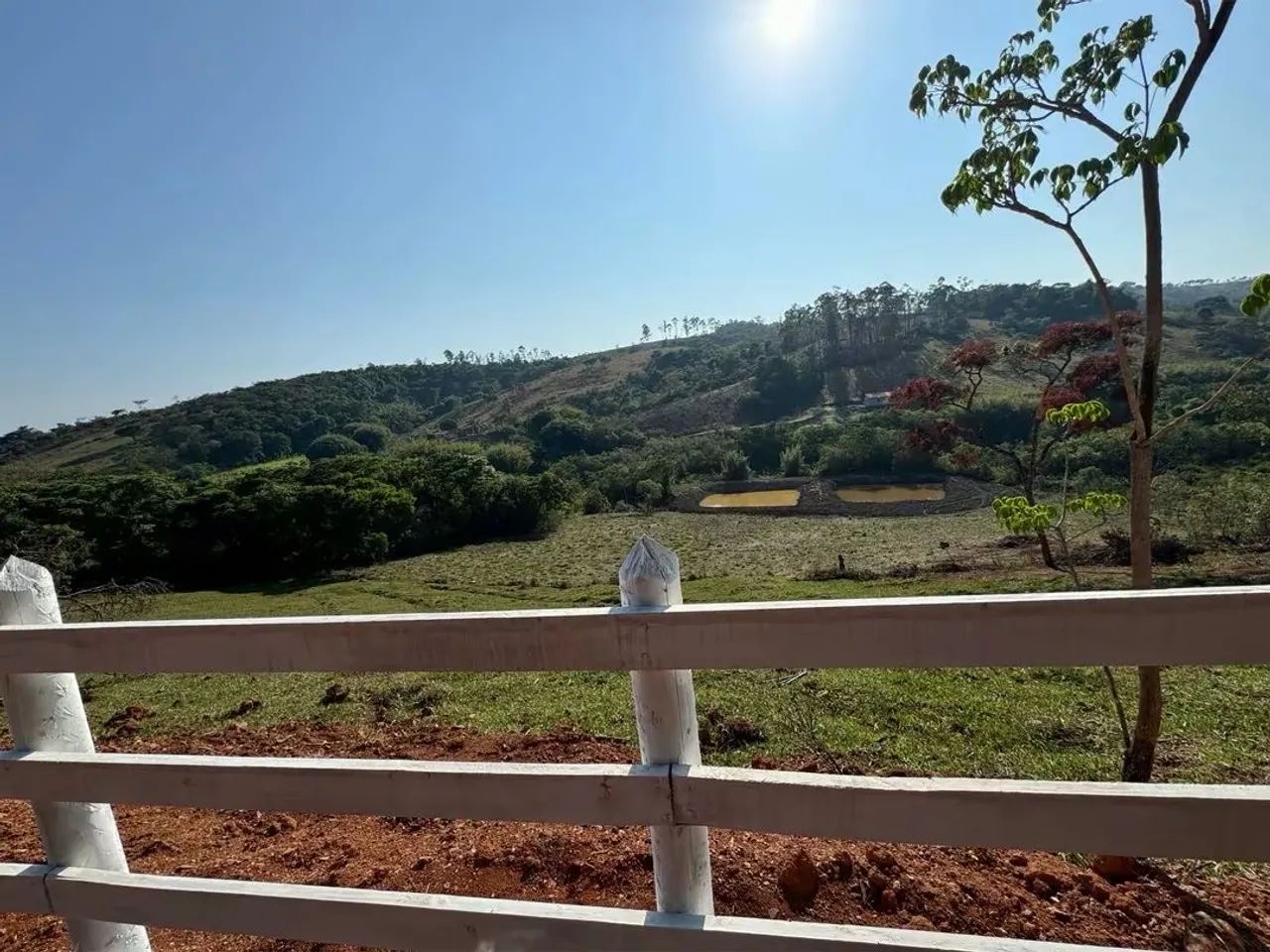 Vendo terreno de 30.000 m2 em Piedade dos Gerais com 2 lagoa !! - Foto 5