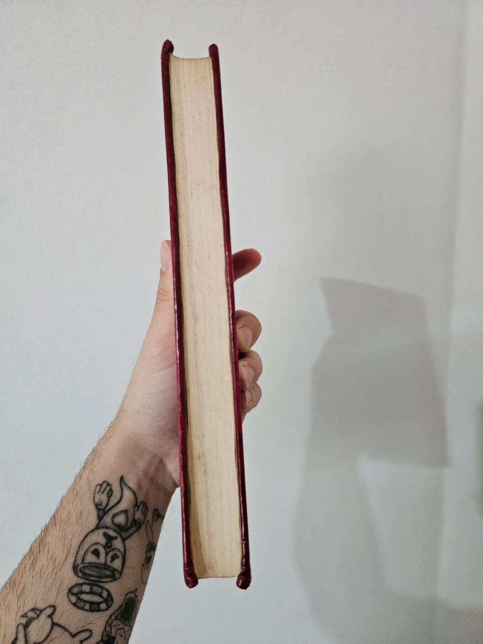 As ilhas da corrente - Foto 3