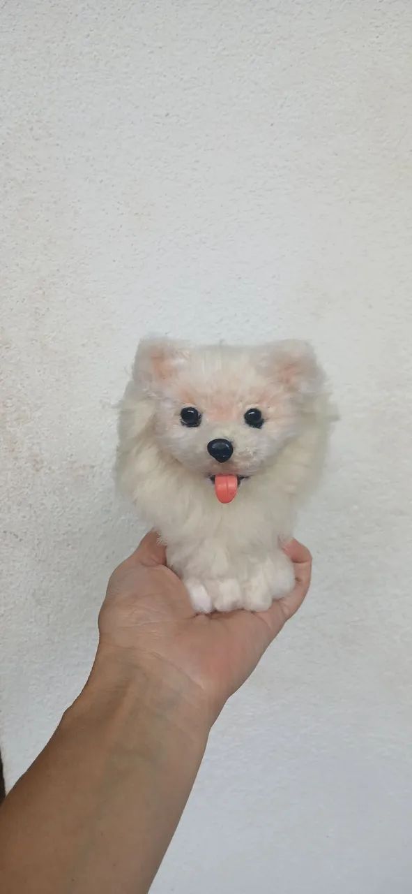 Mini dog - Foto 3