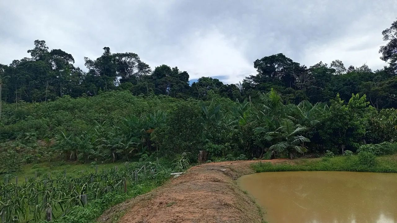 Vendo ou troco sítio  - Foto 2