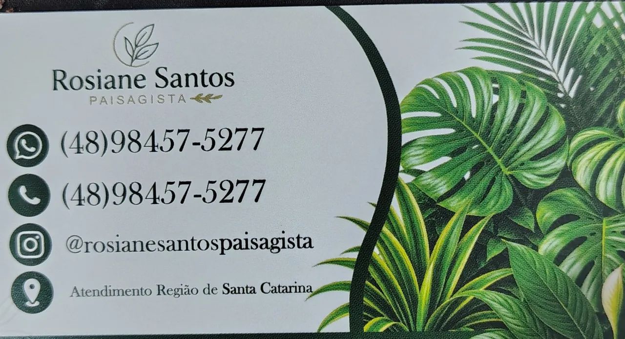 Rosiane santos paisagismo  - Foto 2