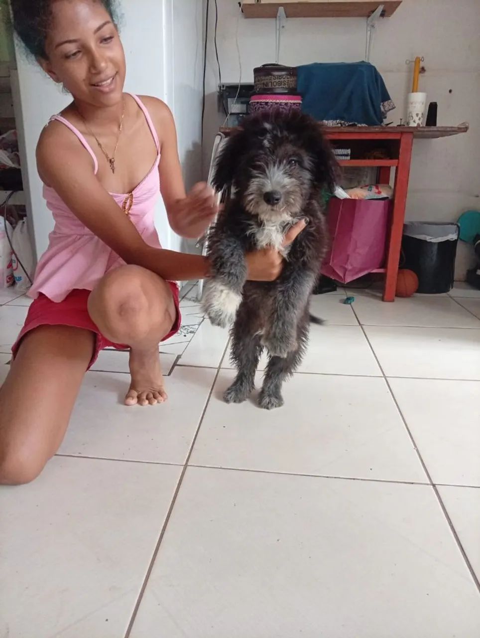 Vendo poodle  - Foto 4