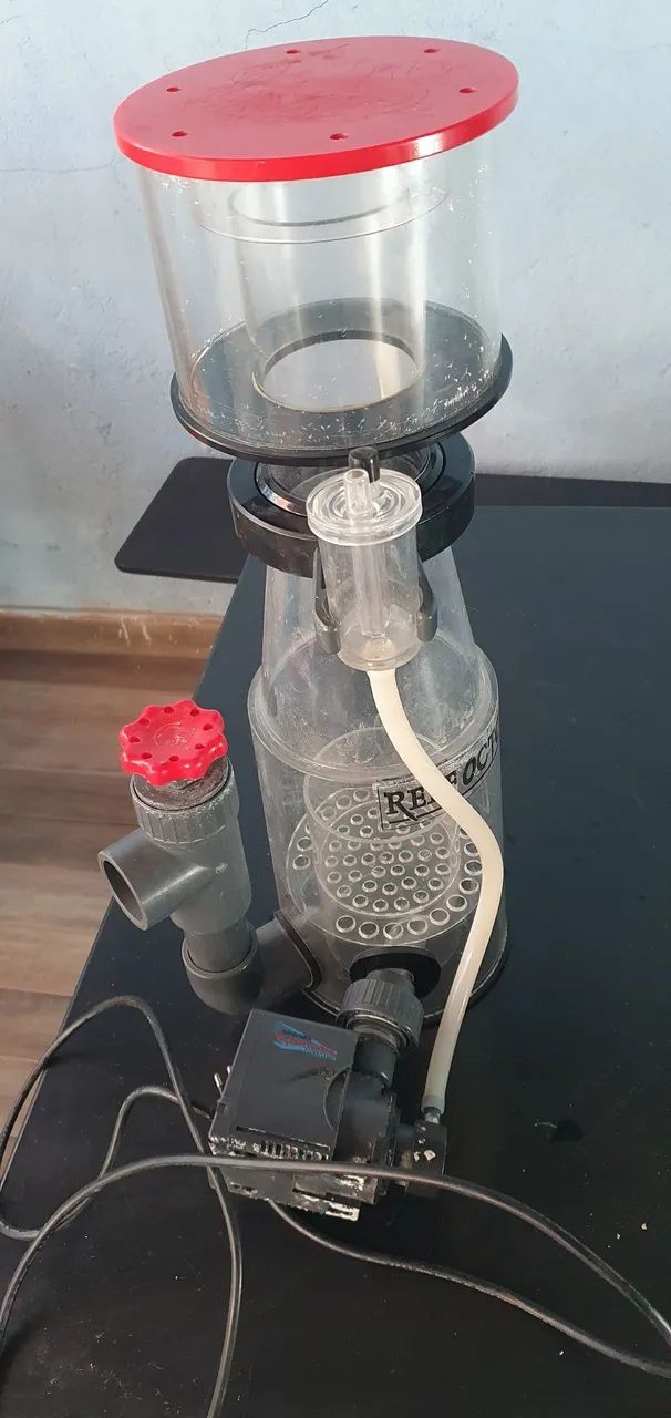 Skimmer Reef Octopus  - Foto 2