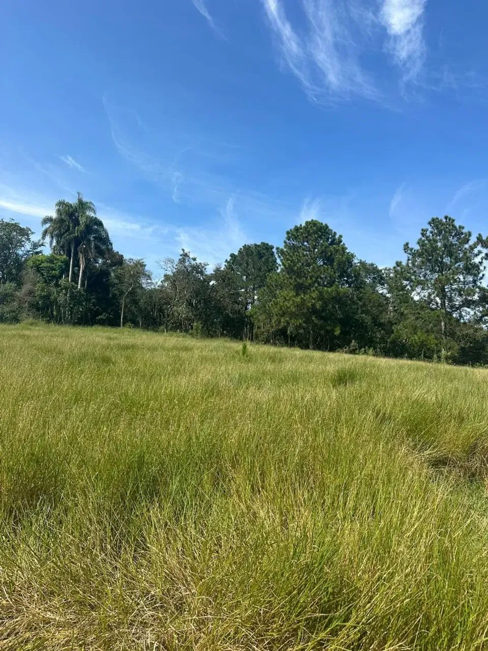 Lote 500m² em Ibiúna Região Tranquila - Foto 5