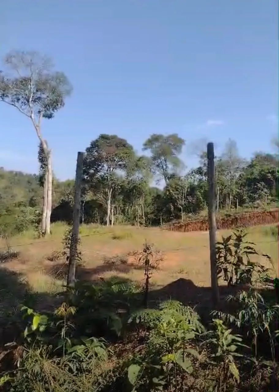 Terreno com container em Dias Tavares - Foto 3