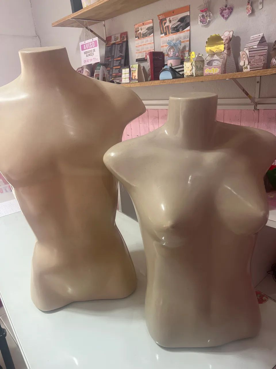 Busto Manequim 