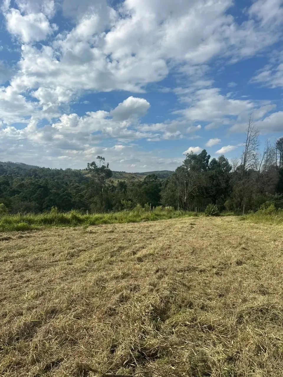 Invista em Mairinque | 1.000m² em Condomínio Fechado - Foto 5