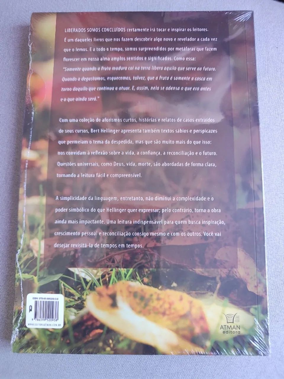 Liberados, somos concluídos - Bert Hellinger - Foto 3