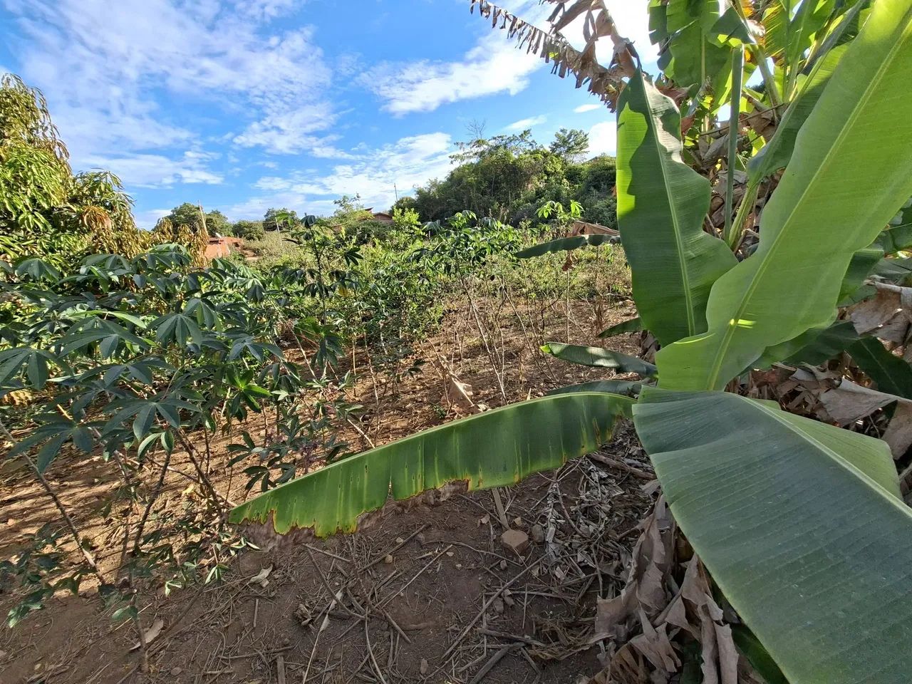 Lote - Foto 2