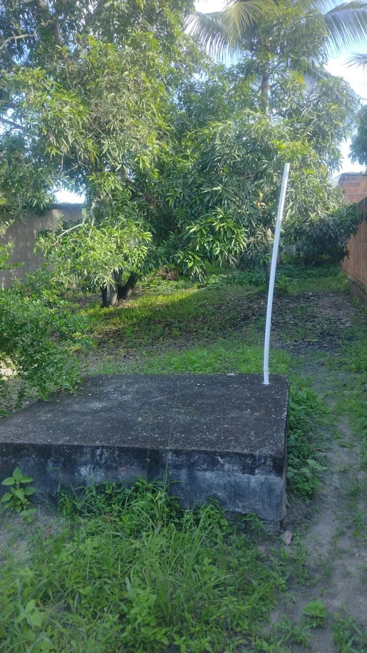 Venda - Foto 2