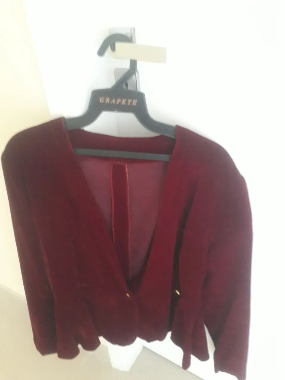 Blazer Veludo Bordo