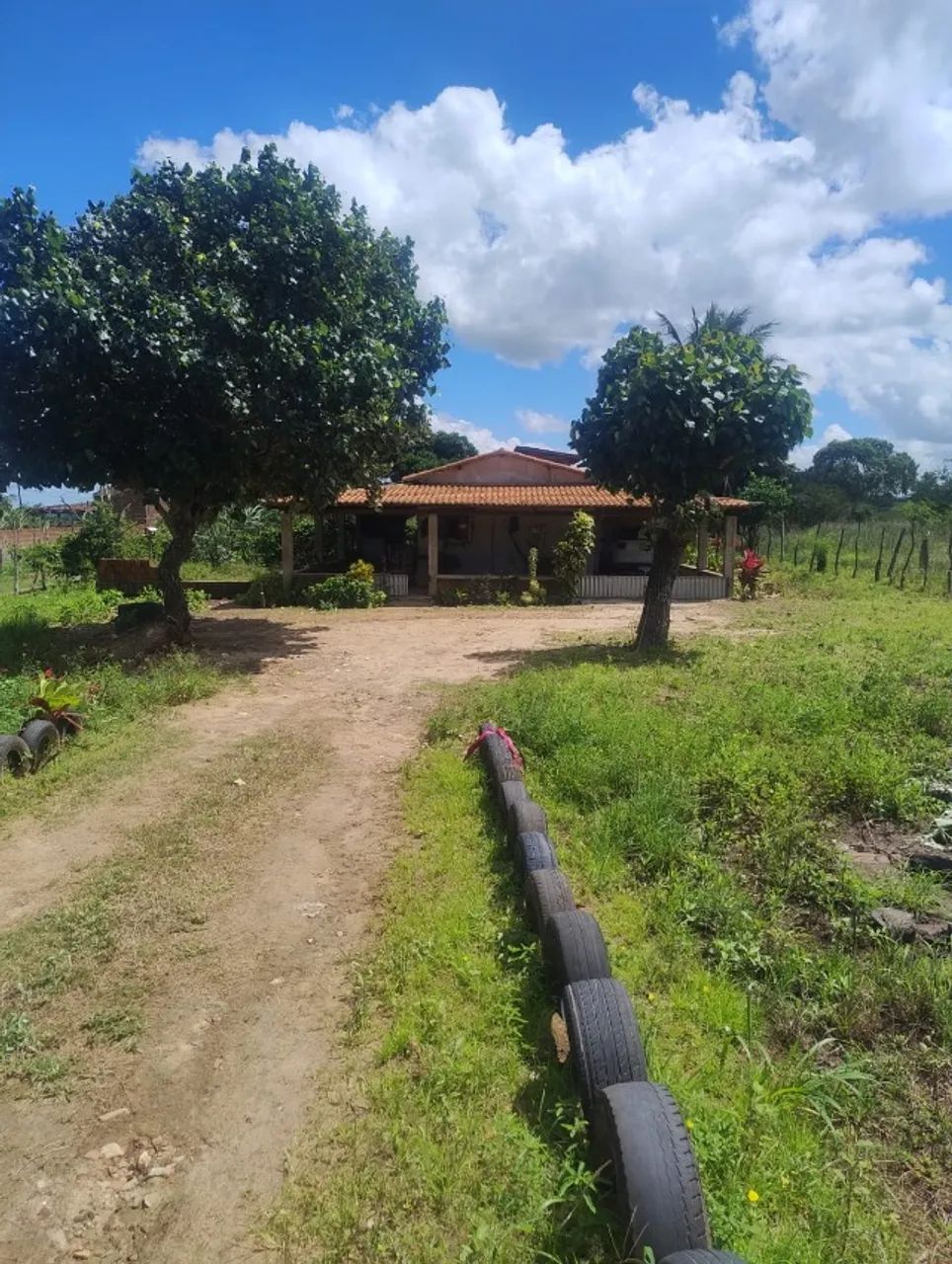 Sítio em Brejinho a 50km de Natal RN  - Foto 3
