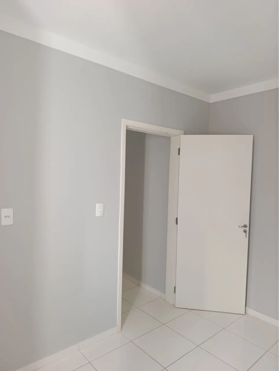 Foto - Araras - Jardim das Palmeiras