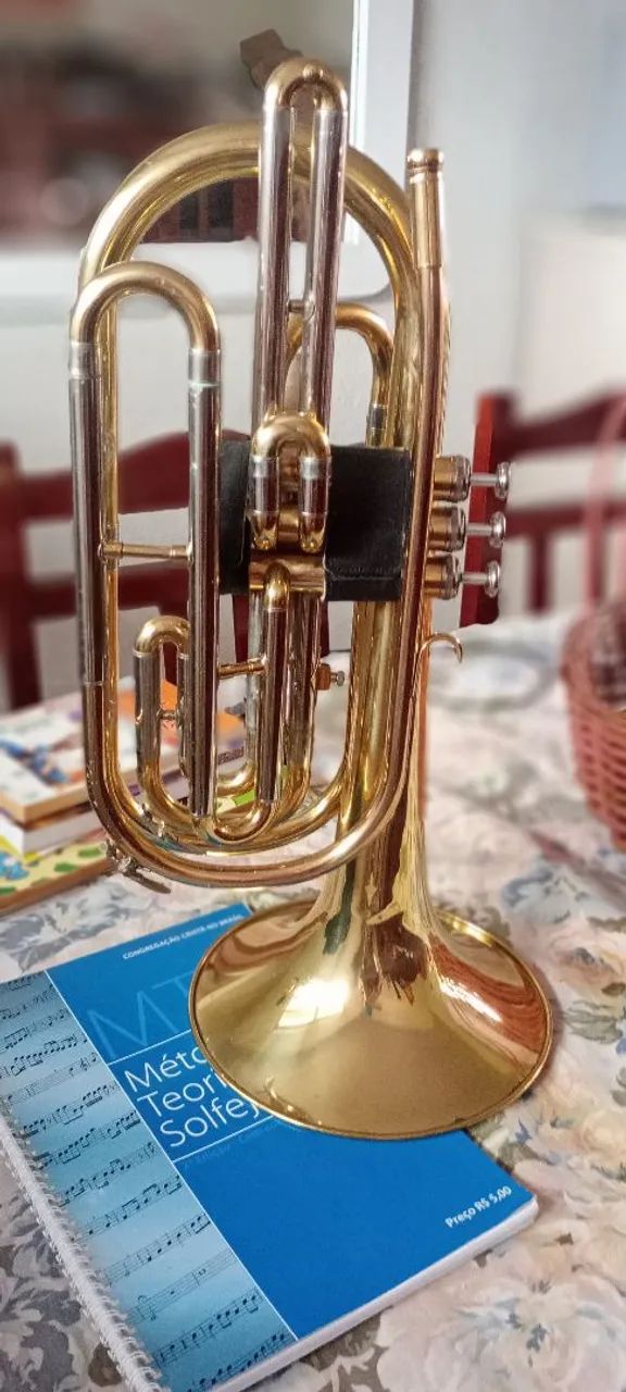 Instrumento musical  - Foto 2