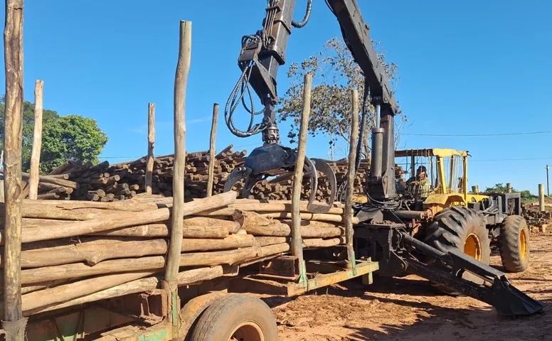 trator com grua florestal - Foto 3