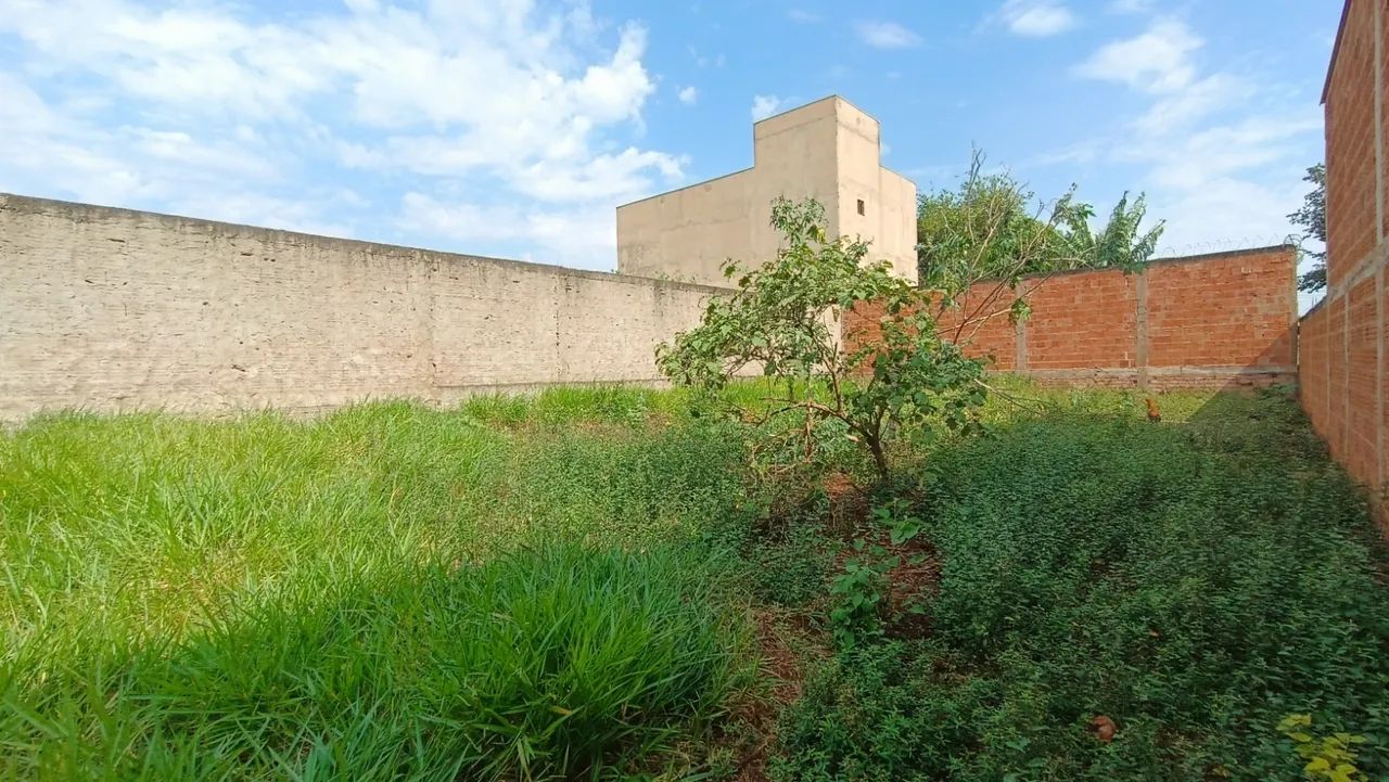 Vendo terreno jardim do córrego  - Foto 4