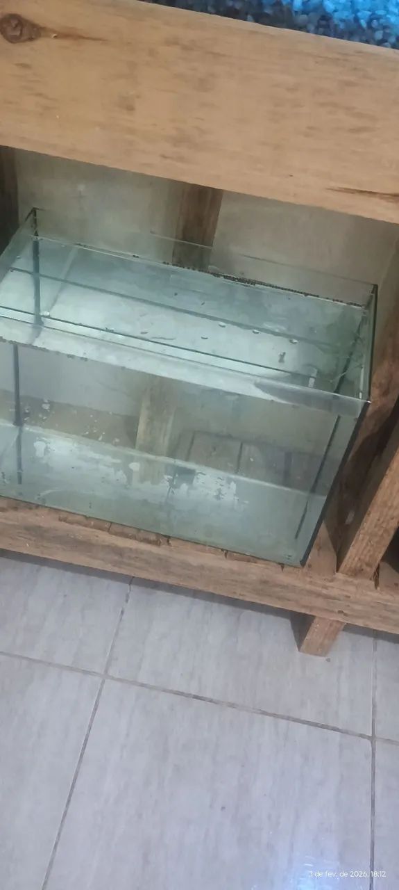 Aquário  - Foto 2