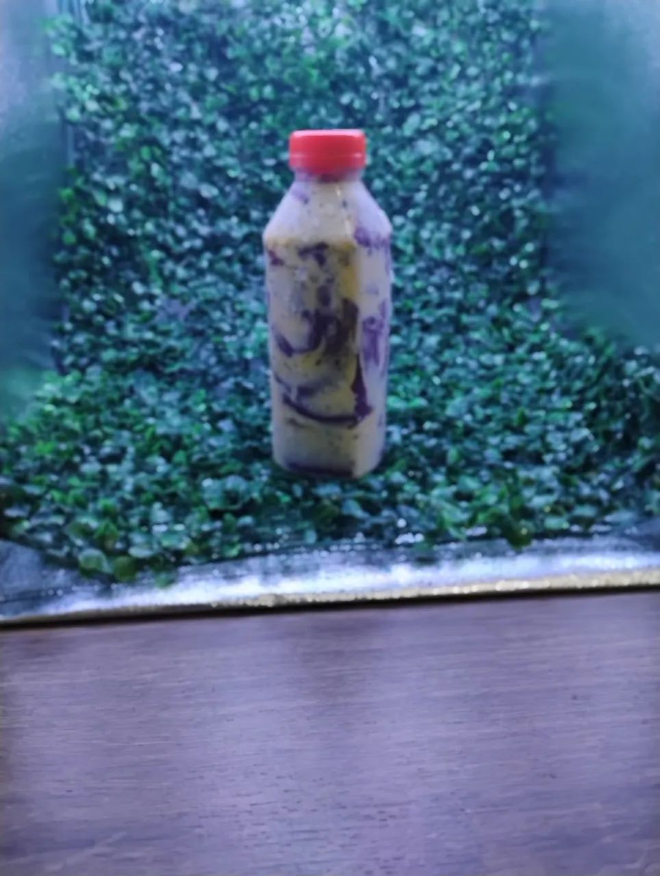Fábrica de açaí  - Foto 2